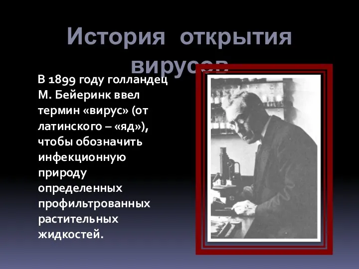 История открытия вирусов В 1899 году голландец М. Бейеринк ввел