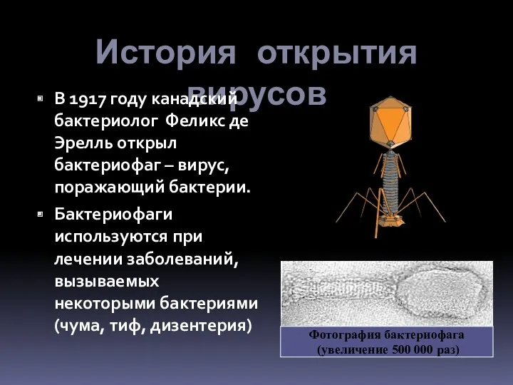 История открытия вирусов В 1917 году канадский бактериолог Феликс де