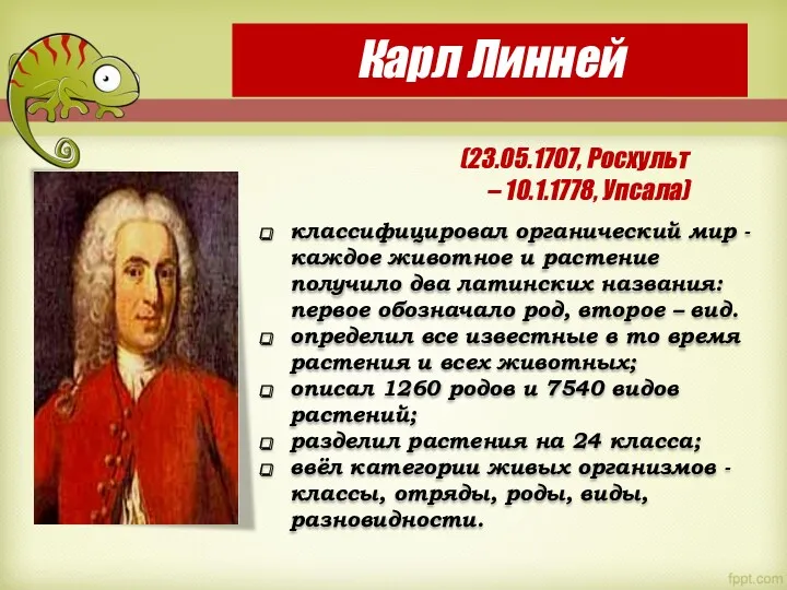 Карл Линней (23.05.1707, Росхульт – 10.1.1778, Упсала) классифицировал органический мир - каждое животное
