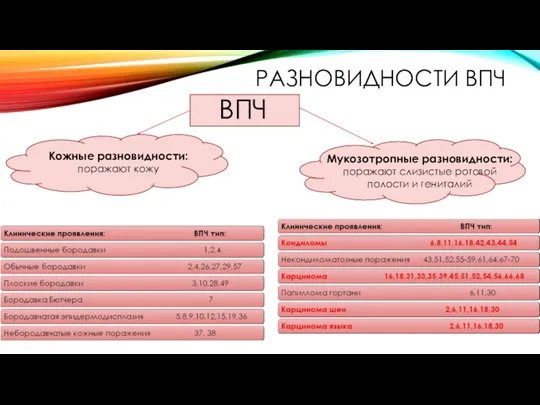 РАЗНОВИДНОСТИ ВПЧ ВПЧ Кожные разновидности: поражают кожу Мукозотропные разновидности: поражают слизистые ротовой полости и гениталий