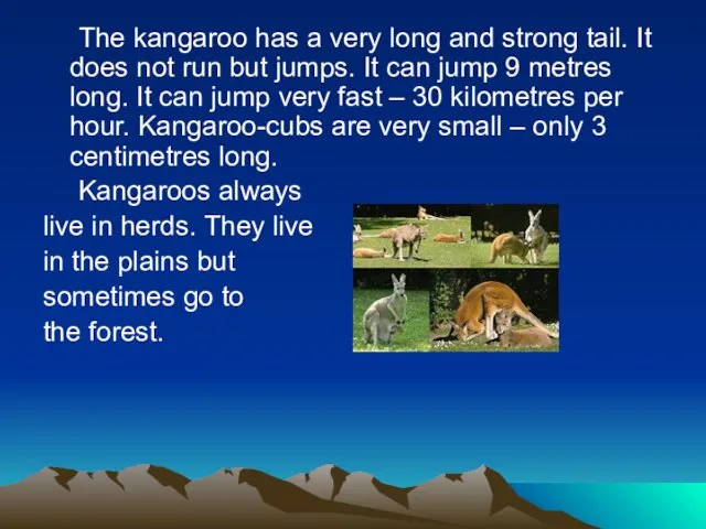 The kangaroo has a very long and strong tail. It does not run