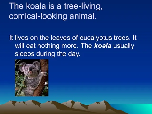 The koala is a tree-living, comical-looking animal. It lives on the leaves of