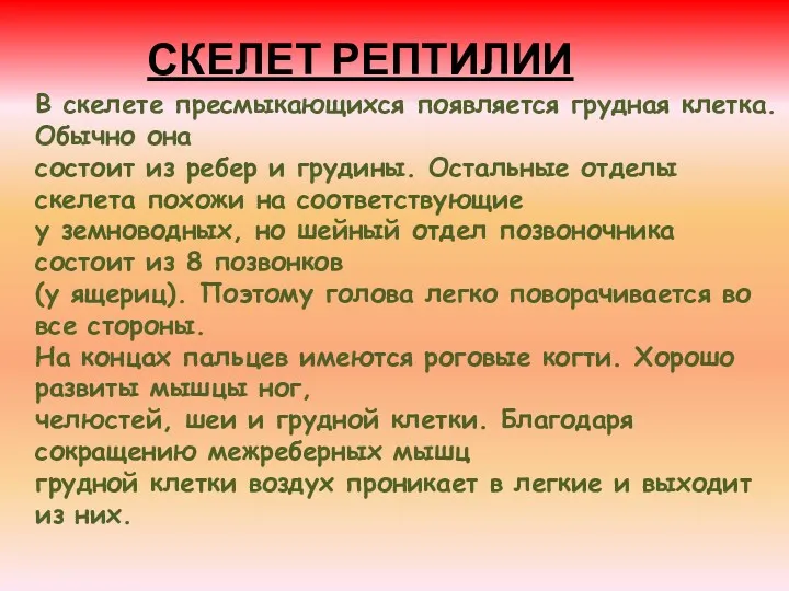 В скелете пресмыкающихся появляется грудная клетка. Обычно она состоит из