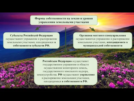 Формы собственности на землю и уровни управления земельными участками Субъекты