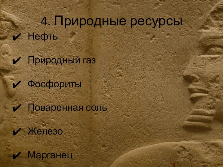 4. Природные ресурсы Нефть Природный газ Фосфориты Поваренная соль Железо Марганец