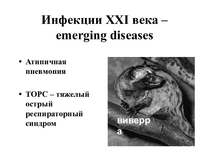 Инфекции XXI века – emerging diseases Атипичная пневмония ТОРС – тяжелый острый респираторный синдром виверра