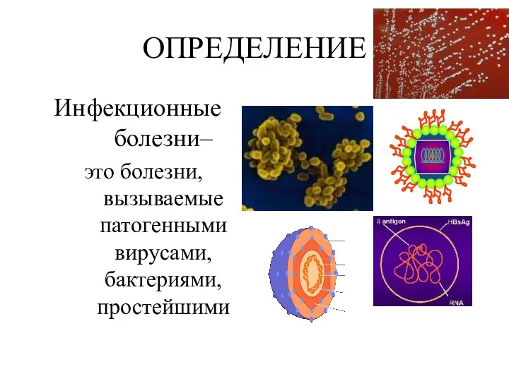 ОПРЕДЕЛЕНИЕ Инфекционные болезни– это болезни, вызываемые патогенными вирусами, бактериями, простейшими