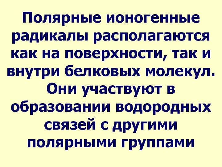 Полярные ионогенные радикалы располагаются как на поверхности, так и внутри