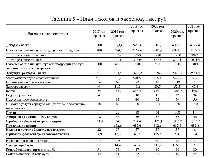 Таблица 5 - План доходов и расходов, тыс. руб.