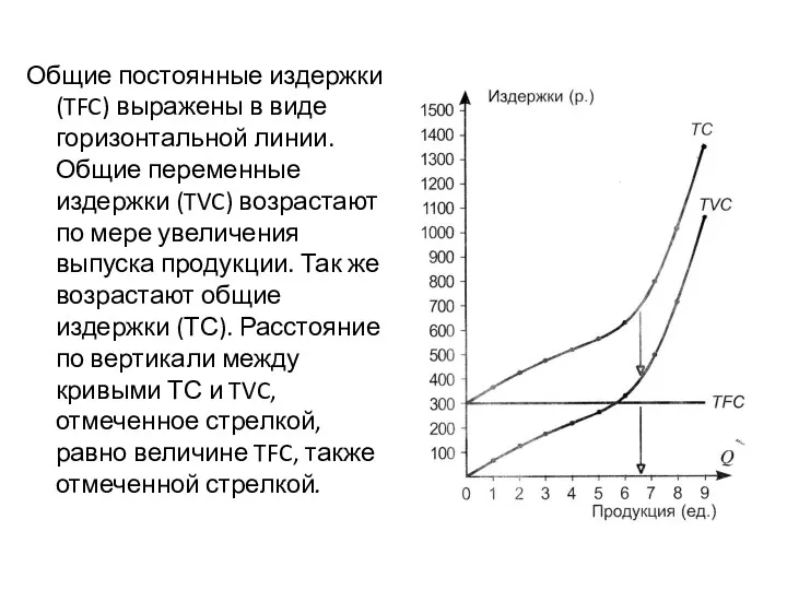 Общие постоянные издержки (TFC) выражены в виде горизонтальной линии. Общие переменные издержки (TVC)