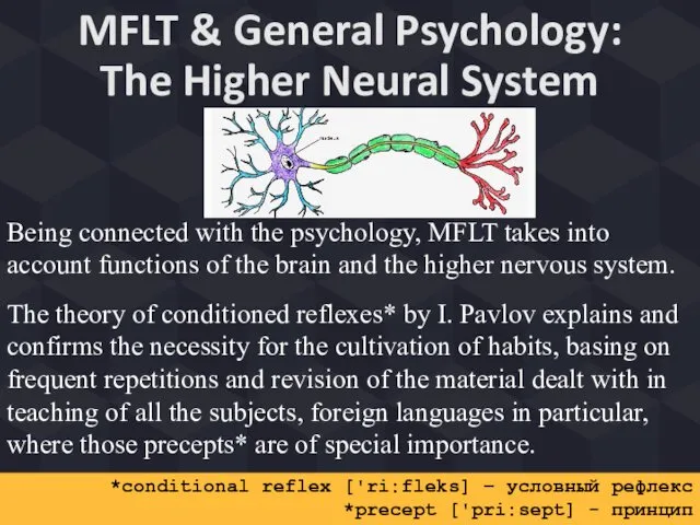 MFLT & General Psychology: The Higher Neural System *conditional reflex