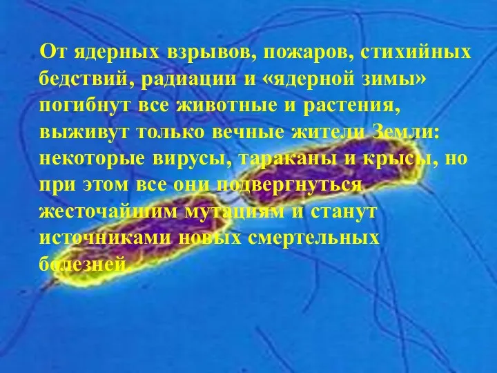 От ядерных взрывов, пожаров, стихийных бедствий, радиации и «ядерной зимы»