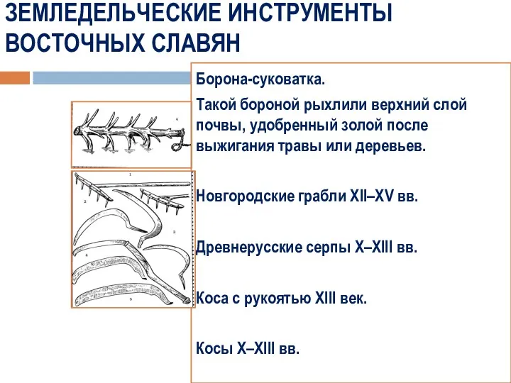 ЗЕМЛЕДЕЛЬЧЕСКИЕ ИНСТРУМЕНТЫ ВОСТОЧНЫХ СЛАВЯН Борона-суковатка. Такой бороной рыхлили верхний слой