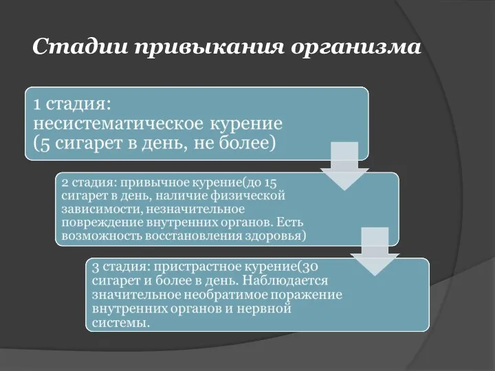 Стадии привыкания организма