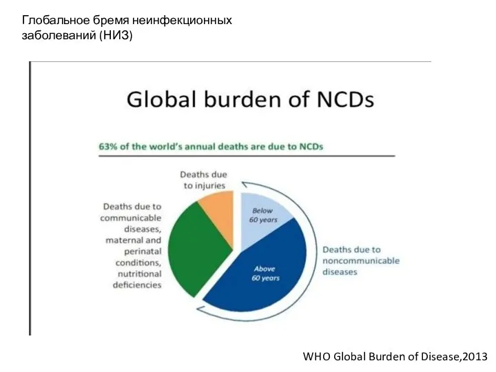 Глобальное бремя неинфекционных заболеваний (НИЗ) WHO Global Burden of Disease,2013
