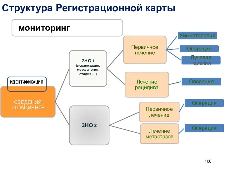 Структура Регистрационной карты ИДЕНТИФИКАЦИЯ мониторинг