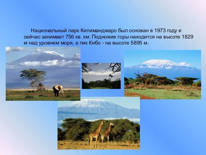 Национальный парк Килиманджаро (Танзания) Национальный парк Килиманджаро был основан в