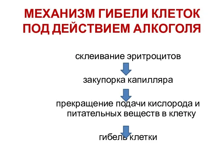 МЕХАНИЗМ ГИБЕЛИ КЛЕТОК ПОД ДЕЙСТВИЕМ АЛКОГОЛЯ склеивание эритроцитов закупорка капилляра