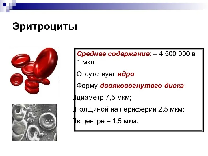 Эритроциты Среднее содержание: – 4 500 000 в 1 мкл.