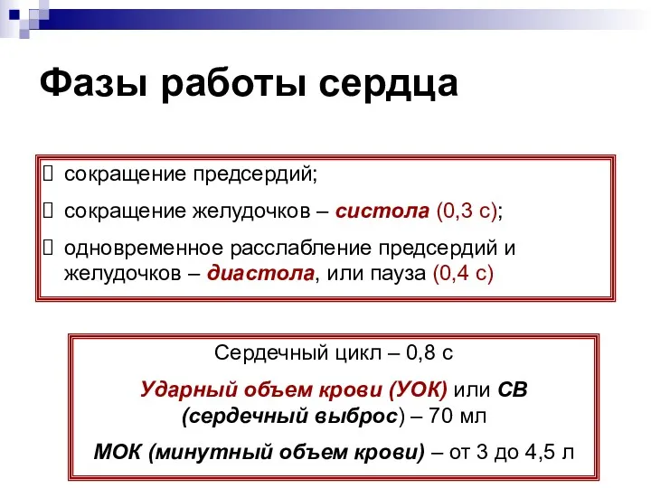 Фазы работы сердца сокращение предсердий; сокращение желудочков – систола (0,3