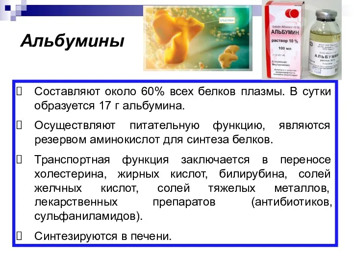 Альбумины Составляют около 60% всех белков плазмы. В сутки образуется