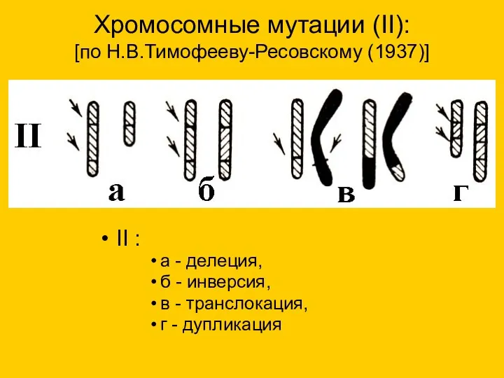 Хромосомные мутации (II): [по Н.В.Тимофееву-Ресовскому (1937)] II : a -