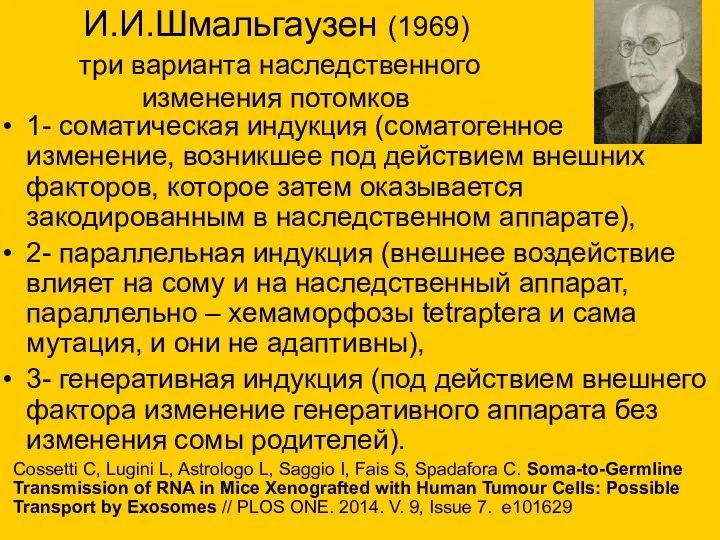 И.И.Шмальгаузен (1969) три варианта наследственного изменения потомков 1- соматическая индукция