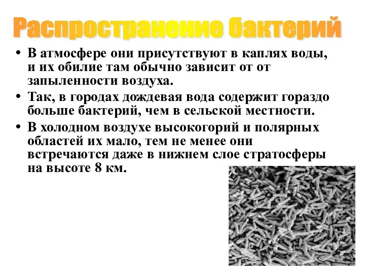 В атмосфере они присутствуют в каплях воды, и их обилие