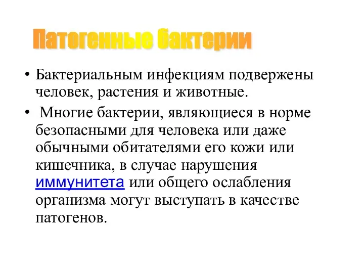 Бактериальным инфекциям подвержены человек, растения и животные. Многие бактерии, являющиеся