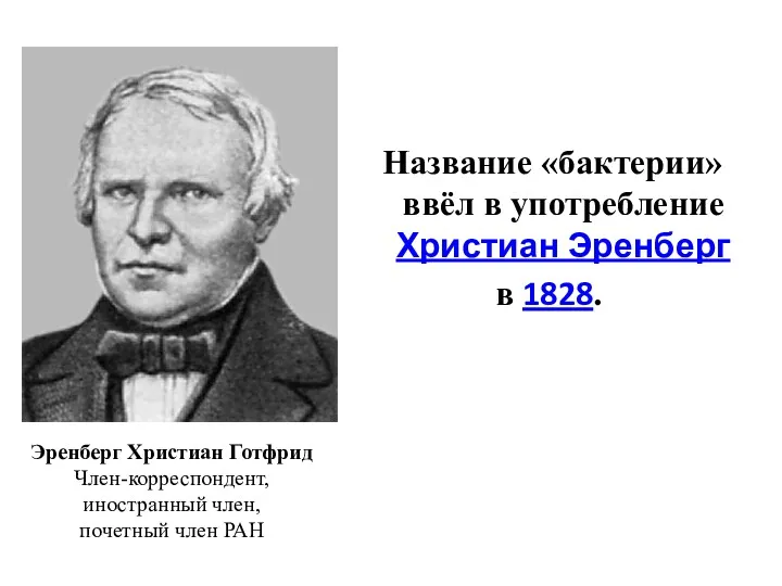 Название «бактерии» ввёл в употребление Христиан Эренберг в 1828. Эренберг