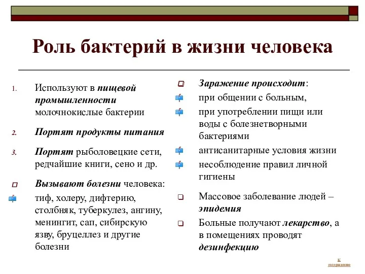 Роль бактерий в жизни человека Используют в пищевой промышленности молочнокислые