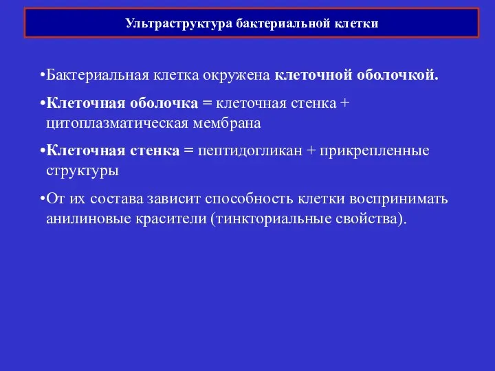 Ультраструктура бактериальной клетки Бактериальная клетка окружена клеточной оболочкой. Клеточная оболочка