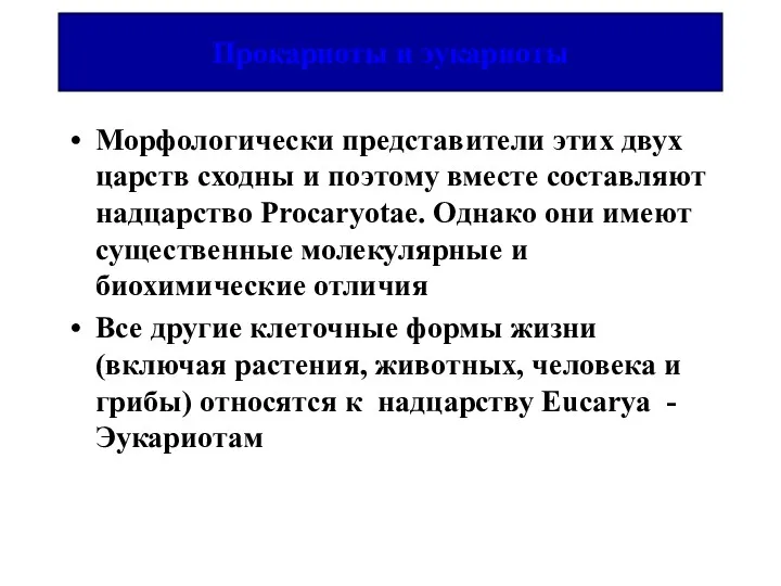 Прокариоты и эукариоты Морфологически представители этих двух царств сходны и