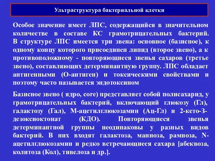 Ультраструктура бактериальной клетки Особое значение имеет ЛПС, содержащийся в значительном