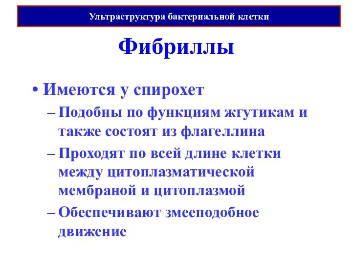 Фибриллы Имеются у спирохет Подобны по функциям жгутикам и также