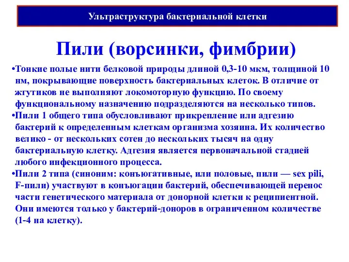 Ультраструктура бактериальной клетки Пили (ворсинки, фимбрии) Тонкие полые нити белковой