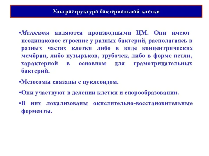 Ультраструктура бактериальной клетки Мезосомы являются производными ЦМ. Они имеют неодинаковое