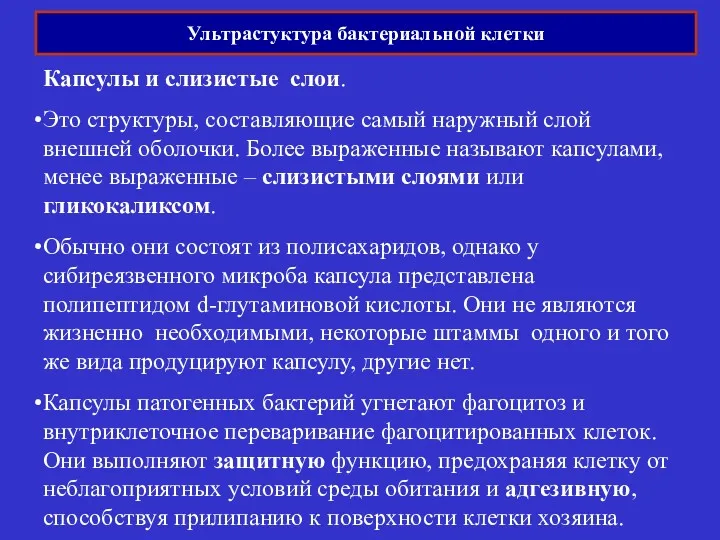 Ультрастуктура бактериальной клетки Капсулы и слизистые слои. Это структуры, составляющие