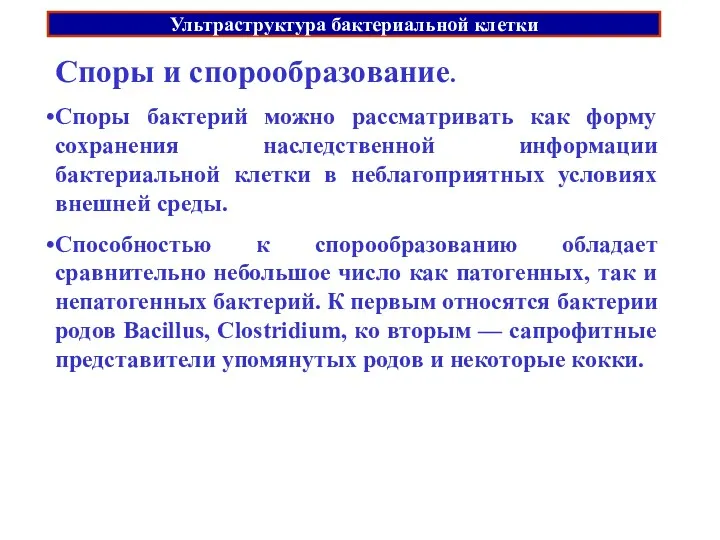 Ультраструктура бактериальной клетки Споры и спорообразование. Споры бактерий можно рассматривать