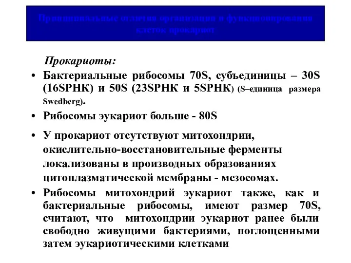 Принципиальные отличия организации и функционирования клеток прокариот Прокариоты: Бактериальные рибосомы