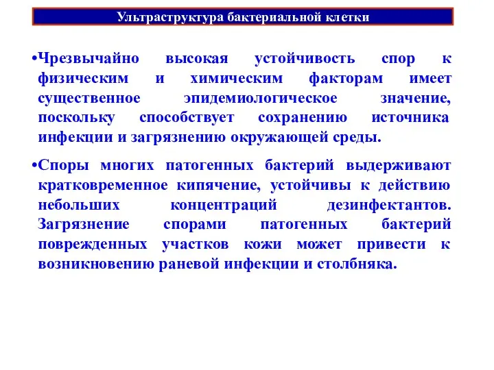 Ультраструктура бактериальной клетки Чрезвычайно высокая устойчивость спор к физическим и