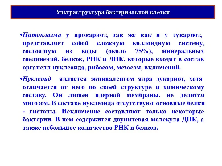 Ультраструктура бактериальной клетки Цитоплазма у прокариот, так же как и