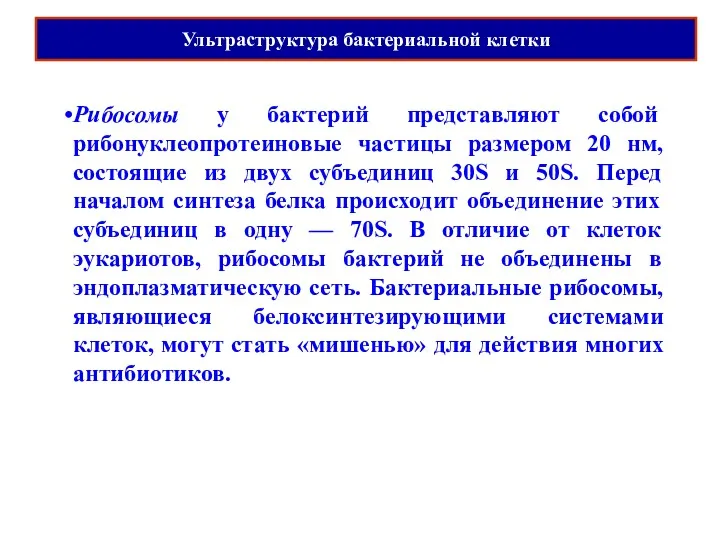 Ультраструктура бактериальной клетки Рибосомы у бактерий представляют собой рибонуклеопротеиновые частицы