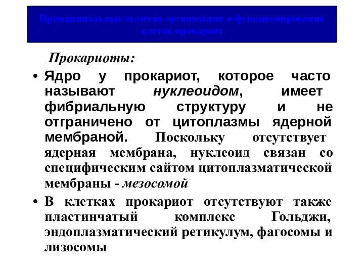 Принципиальные отличия организации и функционирования клеток прокариот Прокариоты: Ядро у