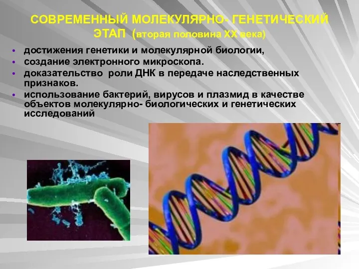 СОВРЕМЕННЫЙ МОЛЕКУЛЯРНО- ГЕНЕТИЧЕСКИЙ ЭТАП (вторая половина ХХ века) достижения генетики