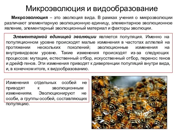 Микроэволюция и видообразование Микроэволюция – это эволюция вида. В рамках