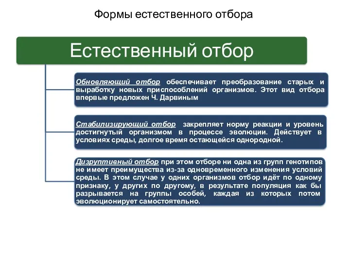 Формы естественного отбора