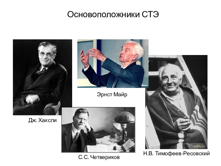 Дж. Хаксли Эрнст Майр Н.В. Тимофеев-Ресовский С.С. Четвериков Основоположники СТЭ