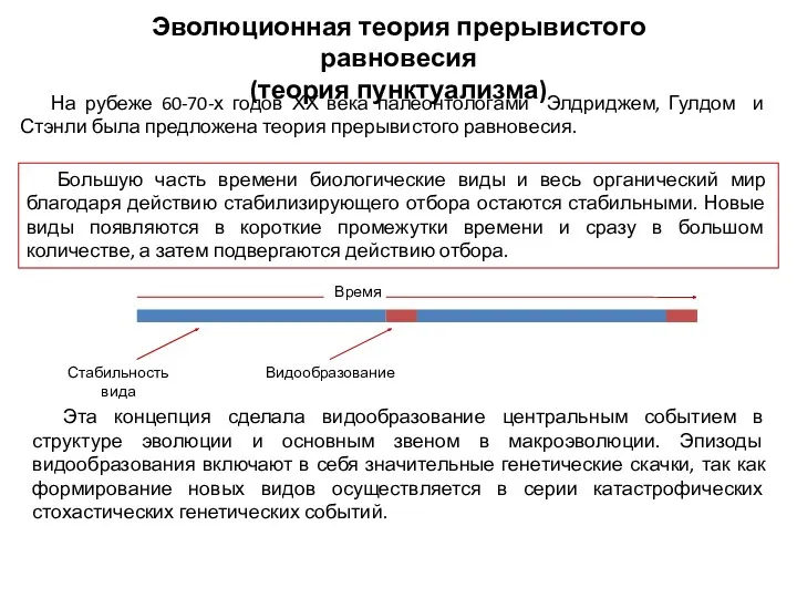 Эволюционная теория прерывистого равновесия (теория пунктуализма) На рубеже 60-70-х годов