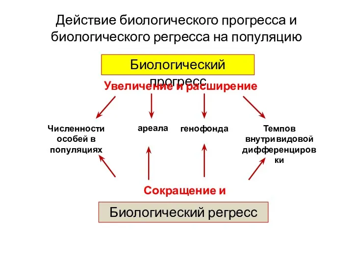 Действие биологического прогресса и биологического регресса на популяцию Биологический прогресс